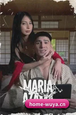 📺 关于本站